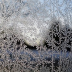 Close-up of jackfrost on a window. Intricate fingers of pretty ice patterns