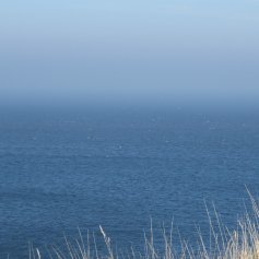 A view of sky, mist and sea all merging together into a beautiful blue scene. In the foreground are some straw-coloured grasses.