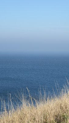 A view of sky, mist and sea all merging together into a beautiful blue scene. In the foreground are some straw-coloured grasses.