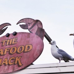 A pink crab-shaped sign with orange writing saying 'The Seafood Shack'. Next to it are two gulls poised for oppportunity.