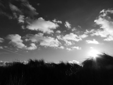Black and white photo of a silhouetted grassy foreground against a cloudy and contrasting sky. The sun is glaring from just above the grass-line to the right.
